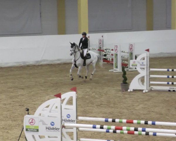 Reitturnier Stadl-Paura 2023