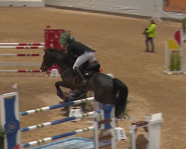 Reitturnier Kreuth/Opf. 2023