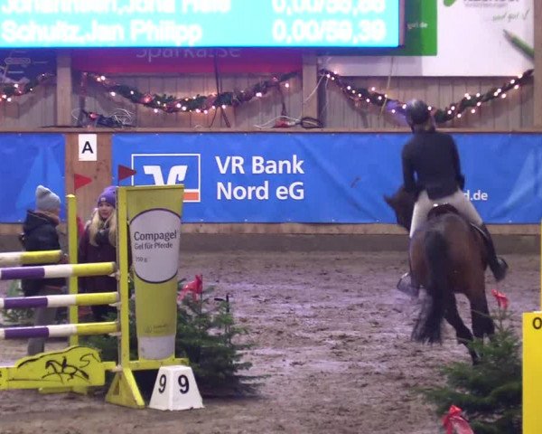 Reitturnier Leck 2023