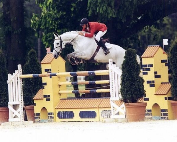 broodmare Cybele d'Ossau AA (Anglo-Arabs, 1990, from Dairin AA)
