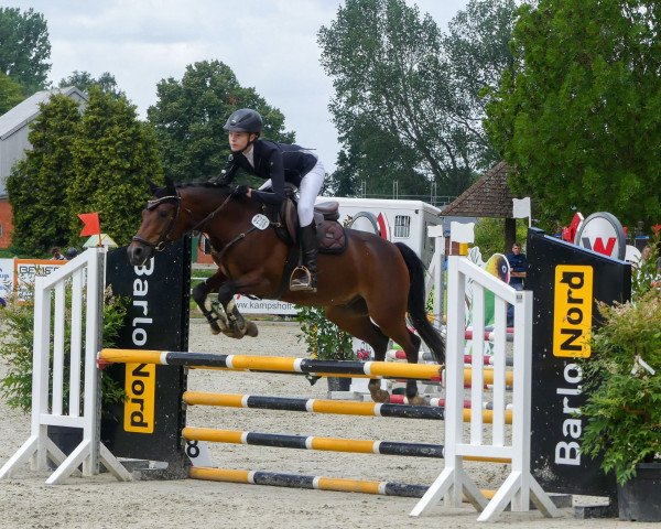 jumper Cornettos Ice Cream (German Riding Pony, 2012, from Cappuccino)