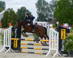 jumper Cornettos Ice Cream (German Riding Pony, 2012, from Cappuccino)