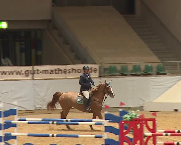 Reitturnier Kreuth/Opf. 2023
