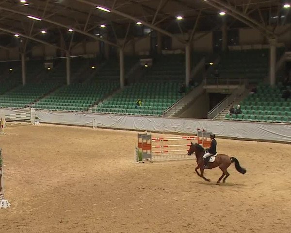 Reitturnier Kreuth/Opf. 2023