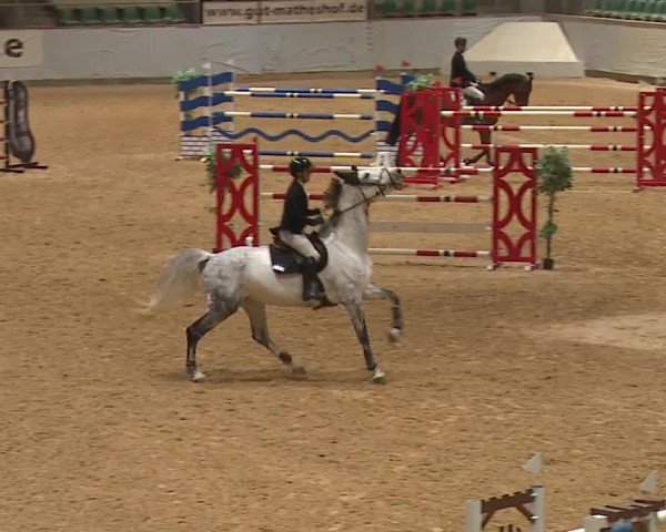 Reitturnier Kreuth/Opf. 2023