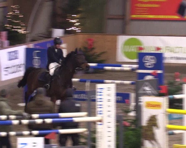 Reitturnier Leck 2023