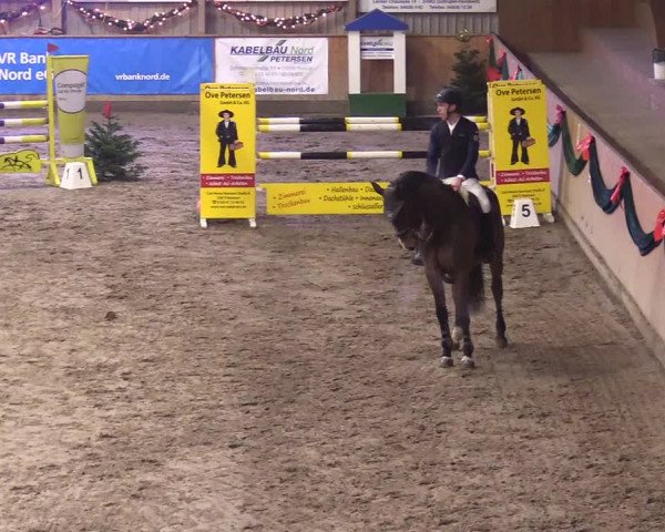 Reitturnier Leck 2023