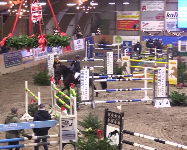 Reitturnier Leck 2023