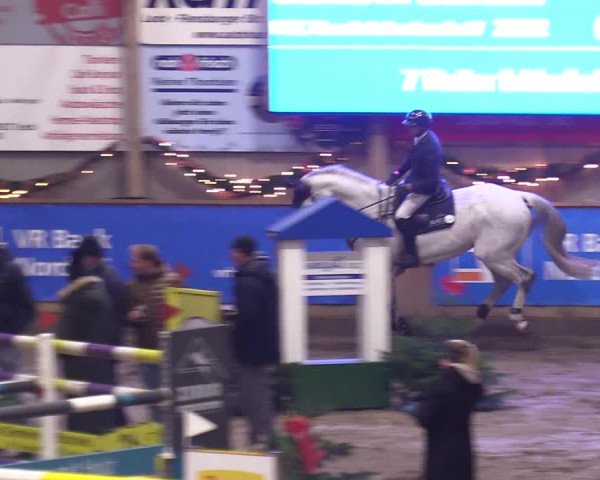 Reitturnier Leck 2023