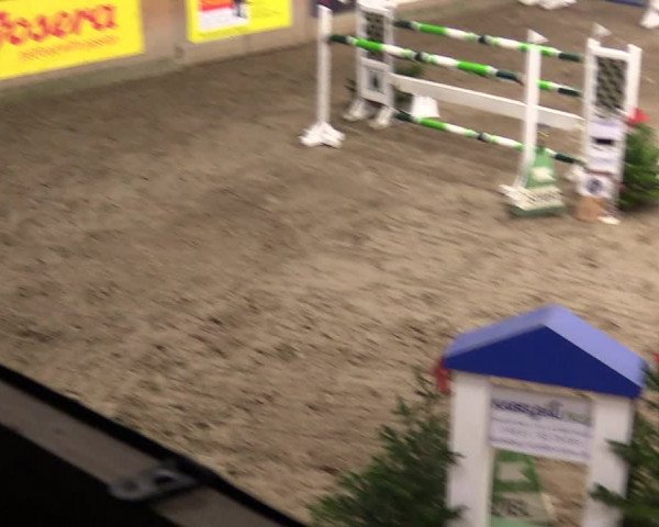 Reitturnier Leck 2023