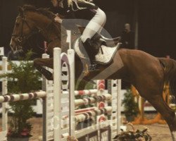 jumper Lilly Marleen 12 (Holsteiner, 1996, from Corofino I)