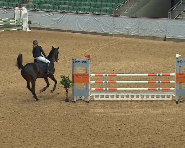 Reitturnier Kreuth/Opf. 2023