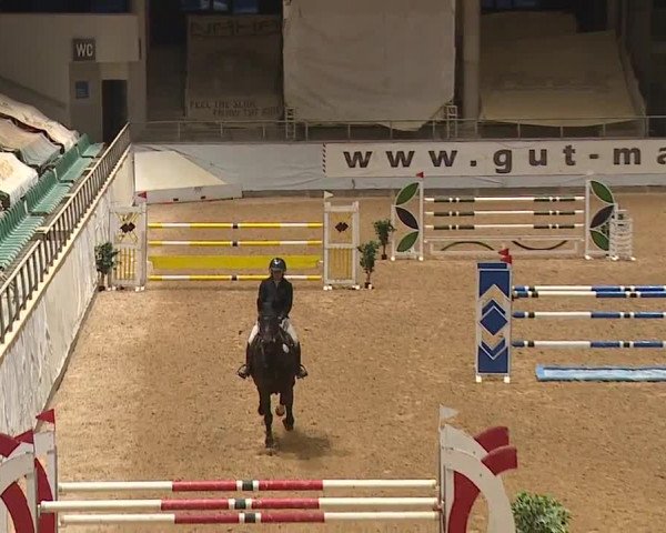 Reitturnier Kreuth/Opf. 2023