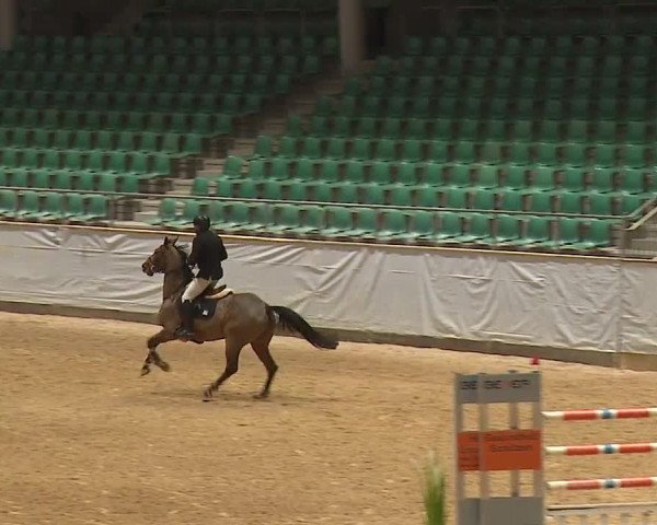 Reitturnier Kreuth/Opf. 2023