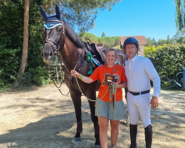 Springpferd Rhapsody vd Bisschop (Belgisches Warmblut, 2017, von Di Cantero van der Hulst Z)
