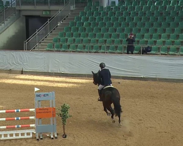 Reitturnier Kreuth/Opf. 2023