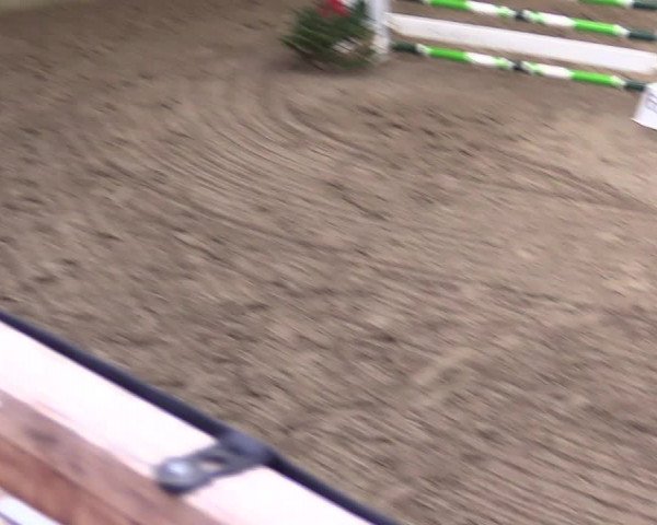 Reitturnier Leck 2023
