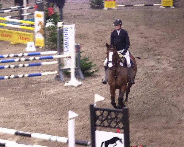 Reitturnier Leck 2023