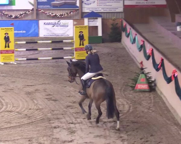 Reitturnier Leck 2023