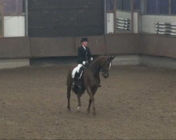 Alt Marl 2011