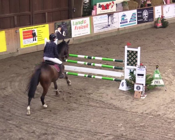 Reitturnier Leck 2023