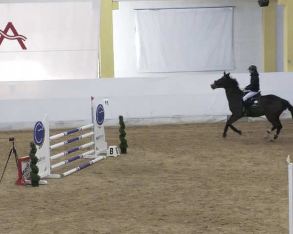 Reitturnier Stadl-Paura 2023