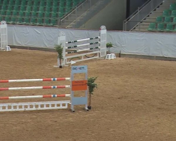 Reitturnier Kreuth/Opf. 2023