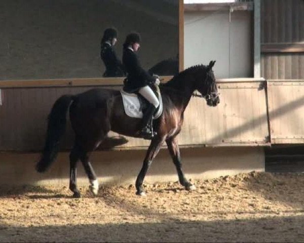 Alt Marl 2011
