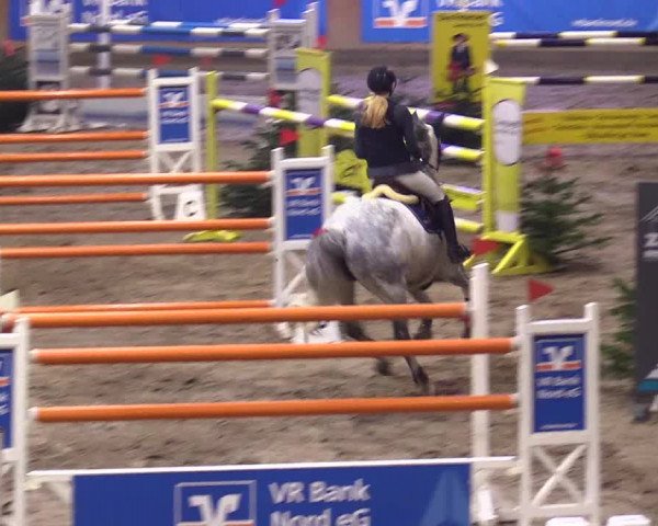 Reitturnier Leck 2023
