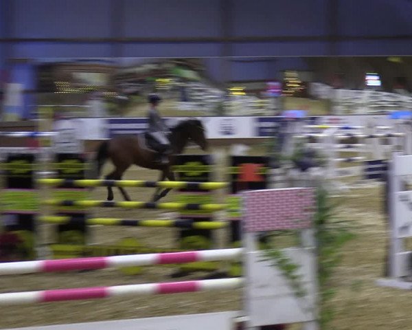 Reitturnier Essen-Stadtwald 2023