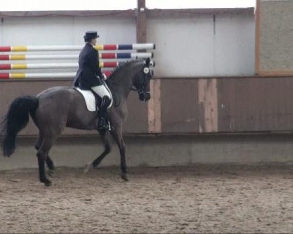 Alt Marl 2011