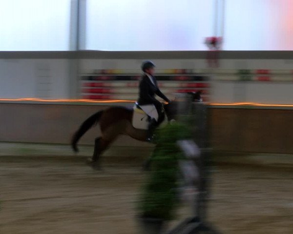 Reitturnier Südlohn-Oeding 2023