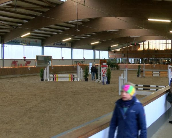 Reitturnier Südlohn-Oeding 2023