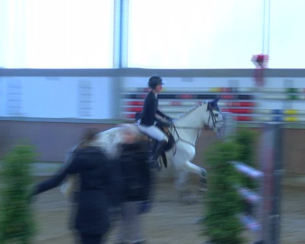 Reitturnier Südlohn-Oeding 2023