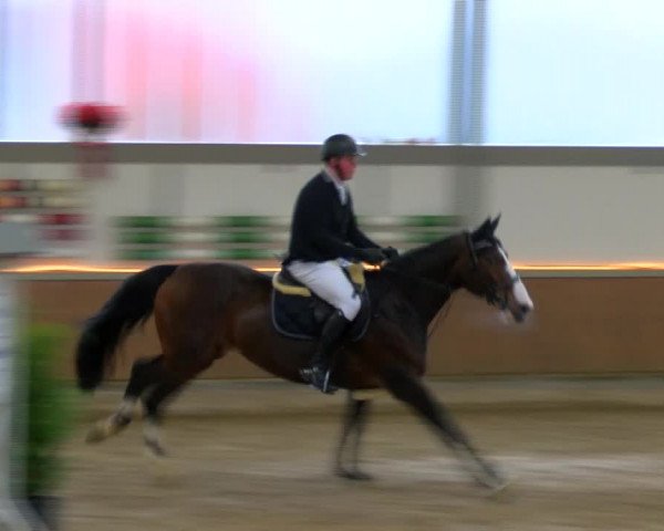 Reitturnier Südlohn-Oeding 2023