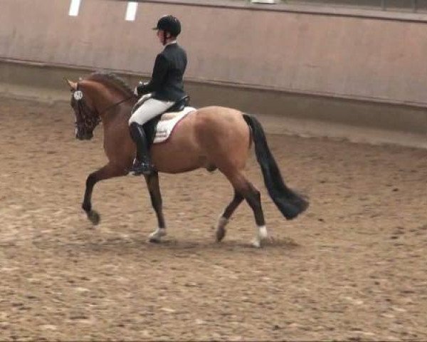 Alt Marl 2011