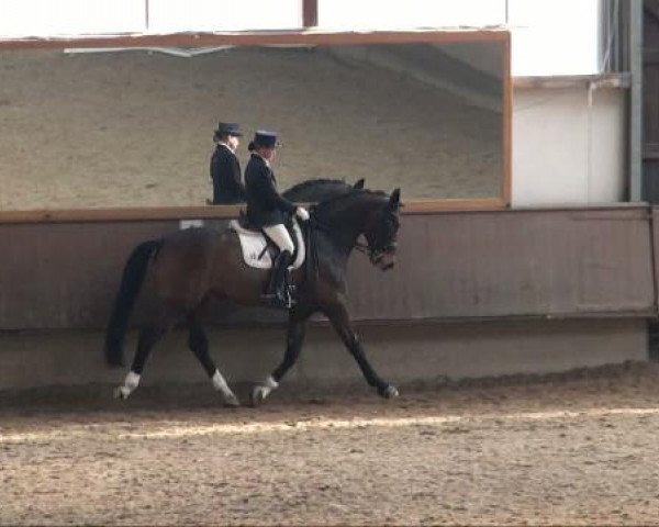 Alt Marl 2011