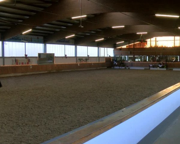 Reitturnier Südlohn-Oeding 2023