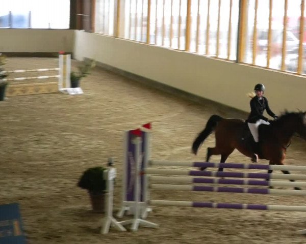 Reitturnier Fleesensee Classic´s 2023