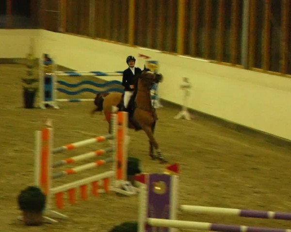 Reitturnier Fleesensee Classic´s 2023