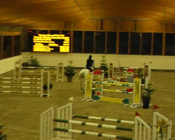 Reitturnier Fleesensee Classic´s 2023