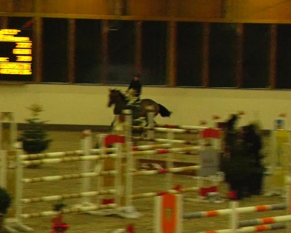 Reitturnier Fleesensee Classic´s 2023