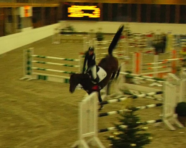 Reitturnier Fleesensee Classic´s 2023