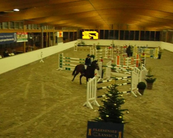 Reitturnier Fleesensee Classic´s 2023