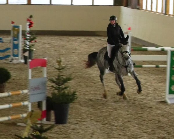 Reitturnier Fleesensee Classic´s 2023