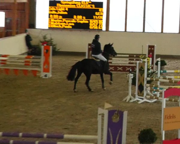 Reitturnier Fleesensee Classic´s 2023