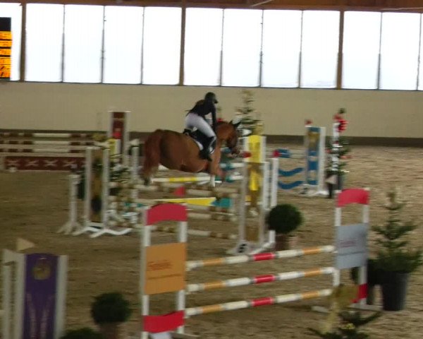 Reitturnier Fleesensee Classic´s 2023