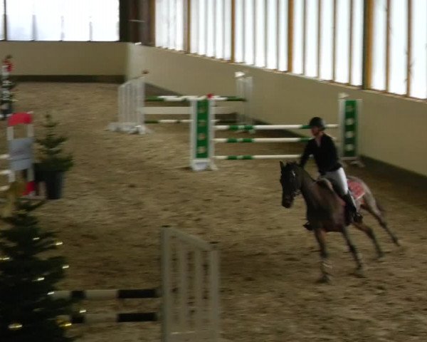 Reitturnier Fleesensee Classic´s 2023