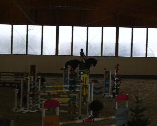 Reitturnier Fleesensee Classic´s 2023