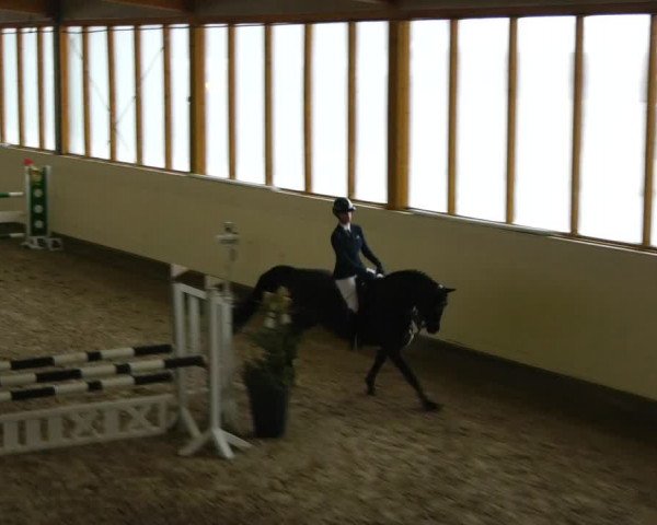 Reitturnier Fleesensee Classic´s 2023